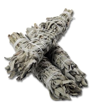 ATADO SALVIA BLANCA GRANDE
