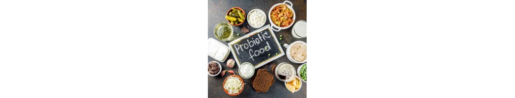 Probióticos y prebióticos